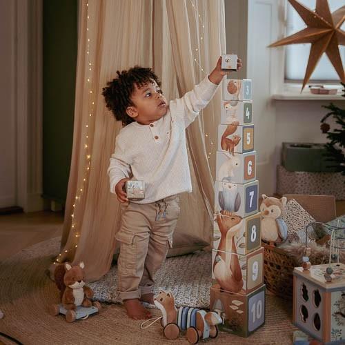 Πυραμίδα Ταξινόμησης Little Farm Little Dutch