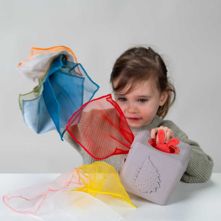 Εκπαιδευτικό Παιχνίδι Δραστηριοτήτων Pop Up Tissue Box