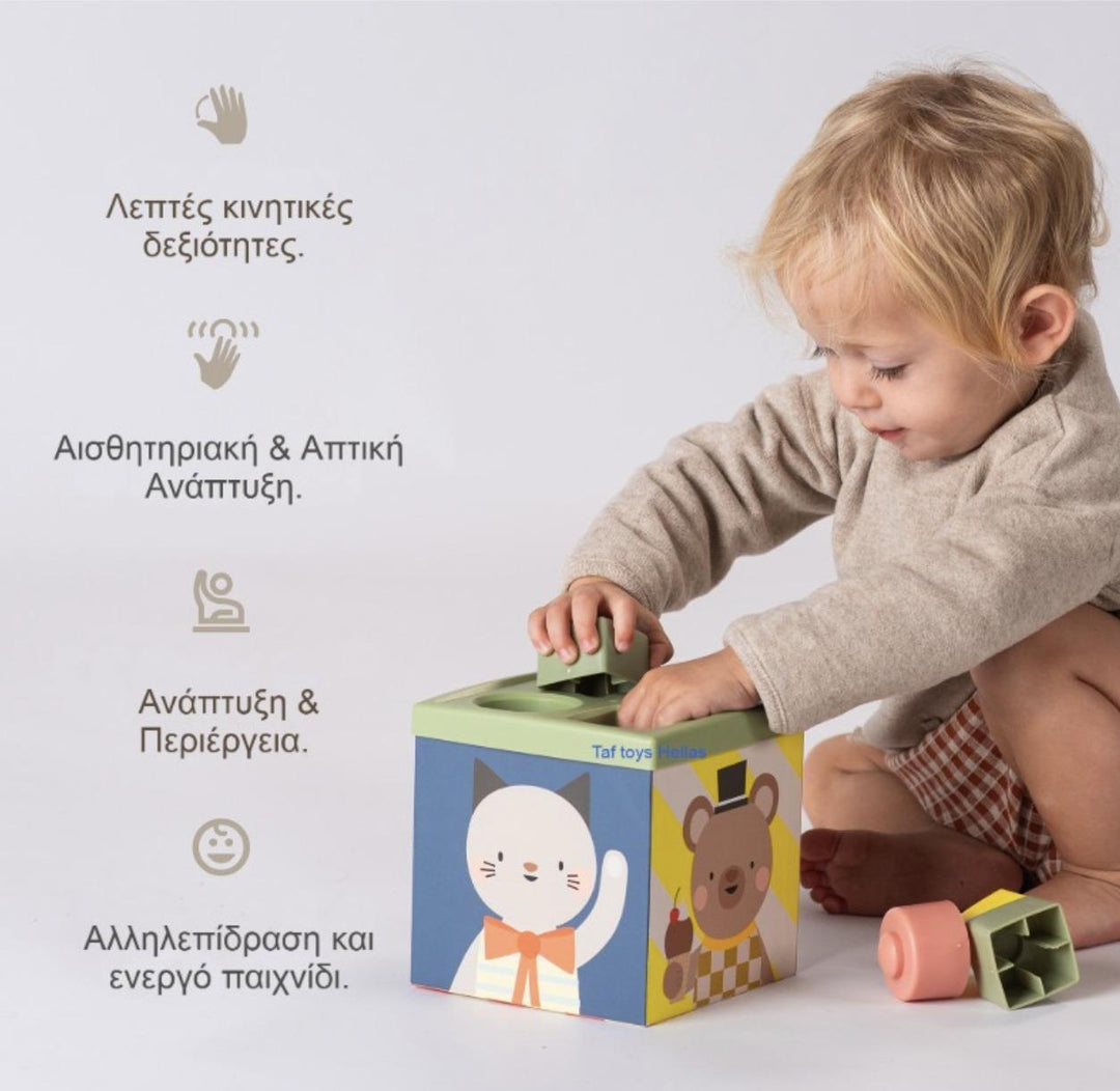 Εκπαιδευτικό Παιχνίδι Δραστηριοτήτων Pop Up Tissue Box 6+m