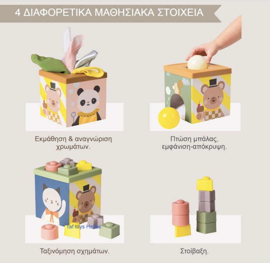 Εκπαιδευτικό Παιχνίδι Δραστηριοτήτων Pop Up Tissue Box 6+m