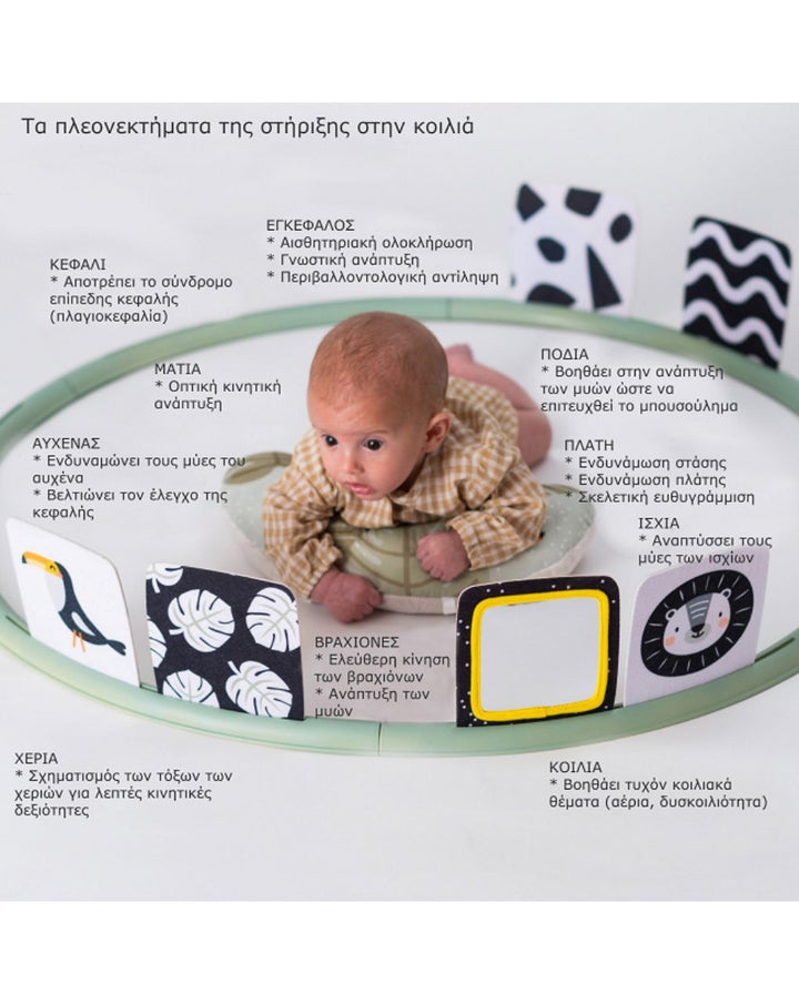 Κέντρο Δραστηριοτήτων Tummy Time Trainer