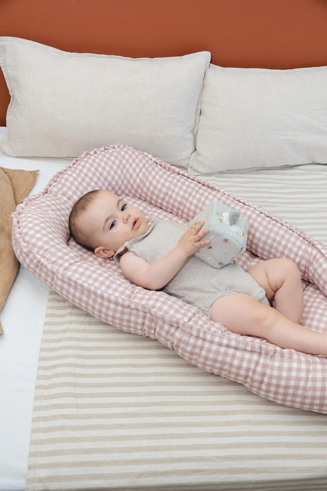 Βρεφική Φωλιά Dusty Rose