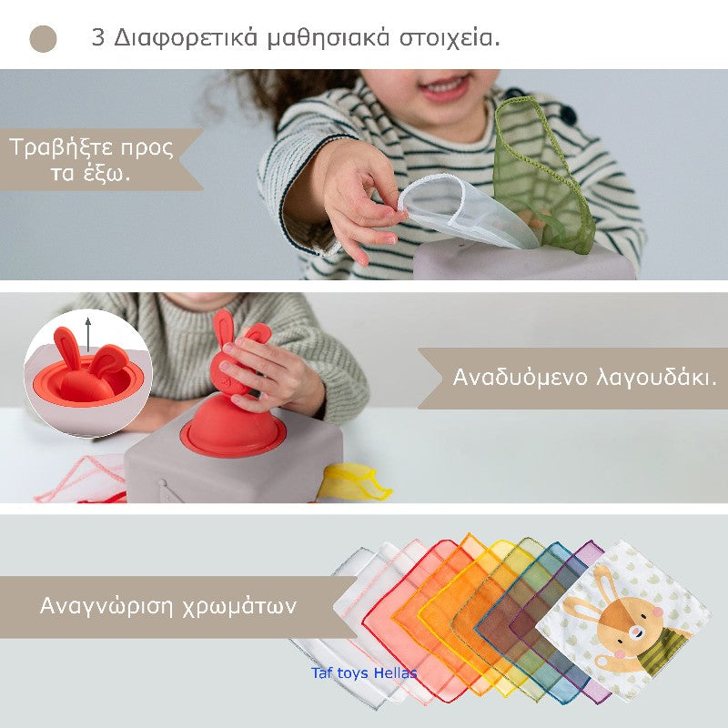 Εκπαιδευτικό Παιχνίδι Δραστηριοτήτων Pop Up Tissue Box
