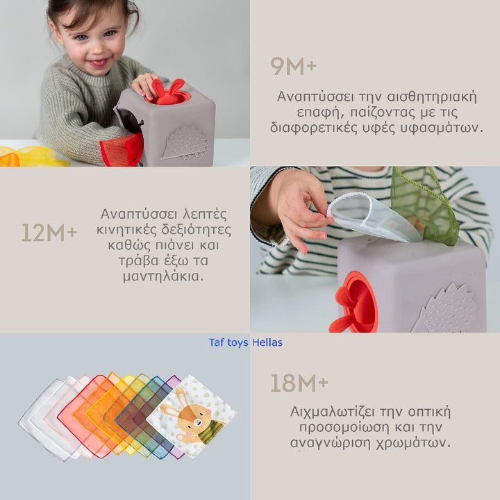 Εκπαιδευτικό Παιχνίδι Δραστηριοτήτων Pop Up Tissue Box