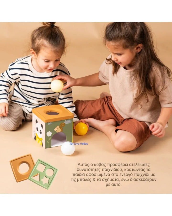 Εκπαιδευτικό Παιχνίδι Δραστηριοτήτων Pop Up Tissue Box 6+m