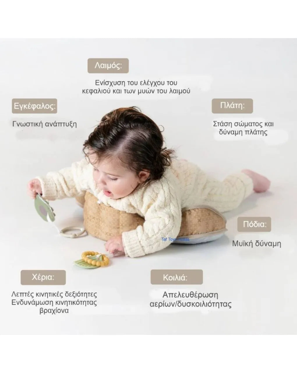 Μαξιλάρι Δραστηριοτήτων Bear Tummy Time