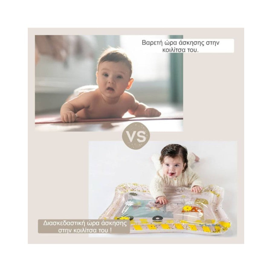 Χαλάκι Νερού Bear/ Ice Cream